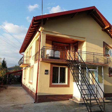 Hotel Casa Lidia Si Gogu Budeasa Mare Exteriér fotografie