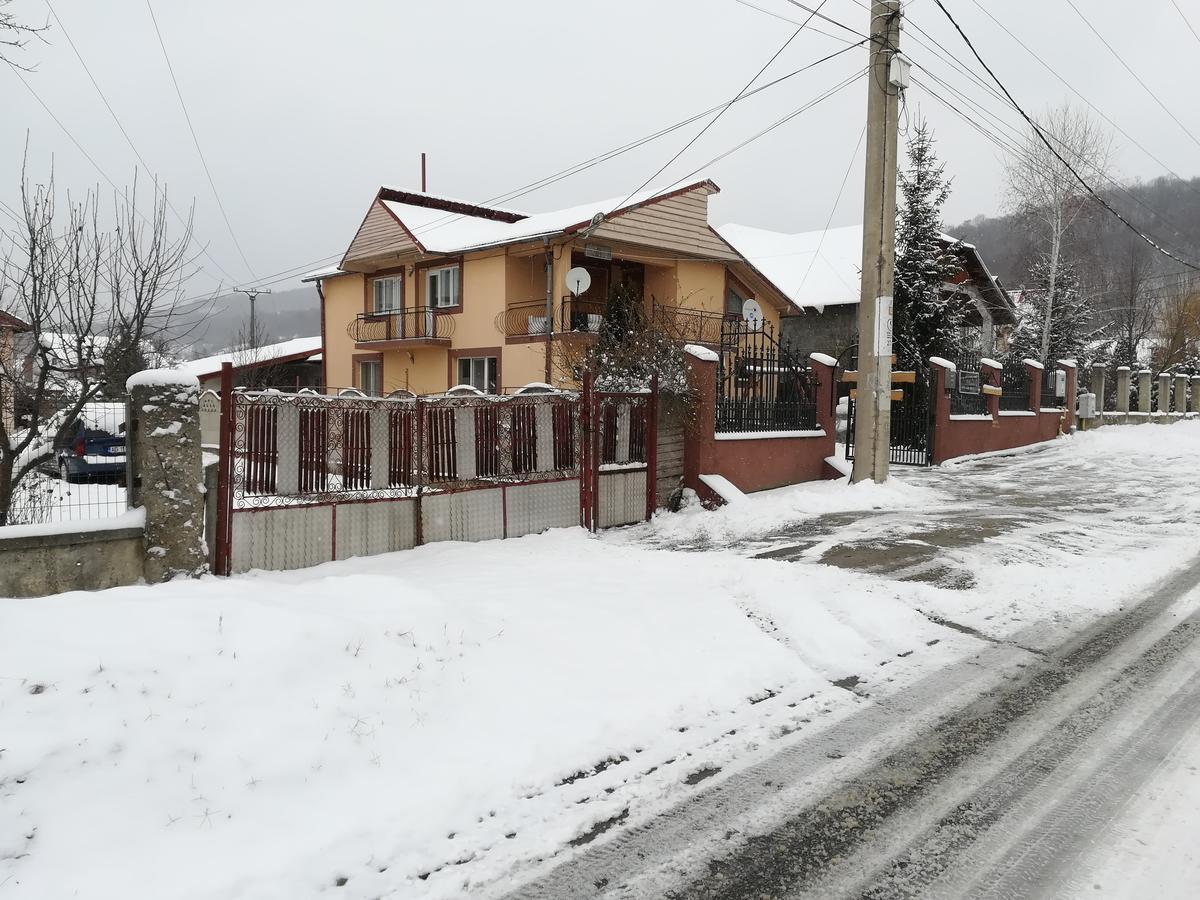 Hotel Casa Lidia Si Gogu Budeasa Mare Exteriér fotografie