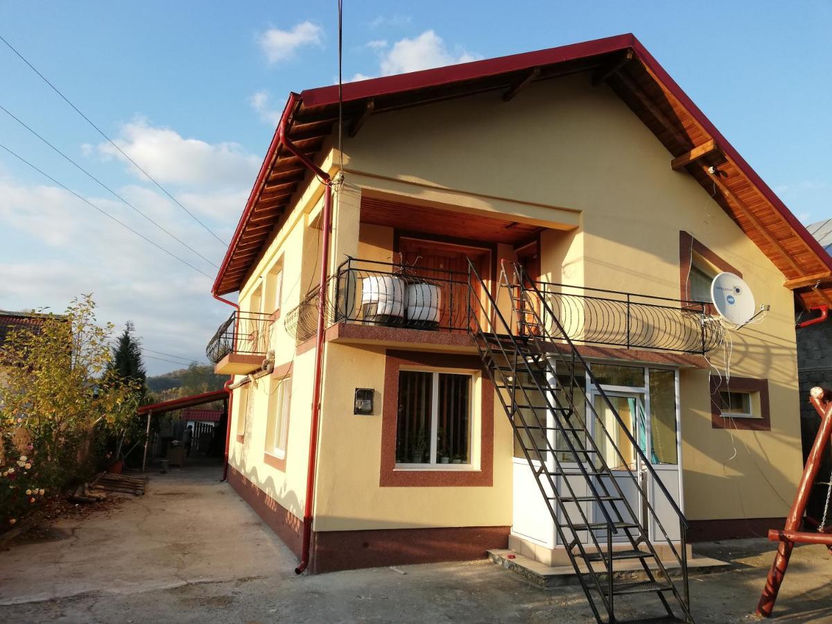 Hotel Casa Lidia Si Gogu Budeasa Mare Exteriér fotografie